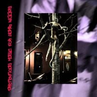 Desofusiony - pretentious music for dumb ni**as