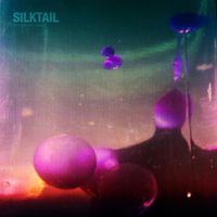 Silktail - In Your Own Shade