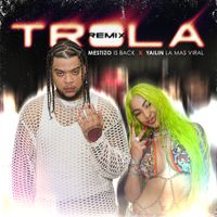 Mestizo Is Back - Trola - Remix