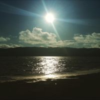 Aidan Latham - Coffee Ground Beach