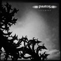 Paatos - Ligament