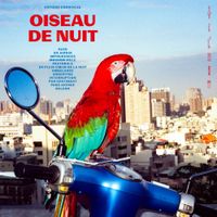 Antoine Corriveau - Oiseau de Nuit