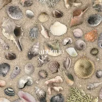 Oisicle Melonpan - Antique