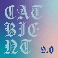 Tomasz Bednarczyk - Catbient 2.0