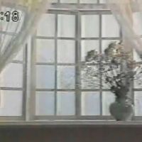 セルシオ [Serushio] - window