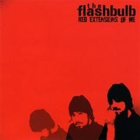 The Flashbulb - Red extensions of me
