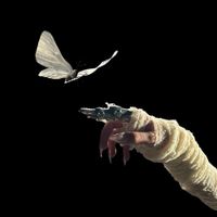 The Temper Trap - Sweet Disposition (ARTBAT Remix)