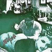 Ariel Pink - Spin Cycle