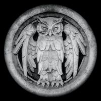 Monarchy - Abnocto