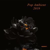 Various Artists - Pop Ambient 2019