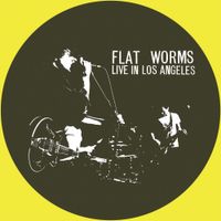 Flat Worms - Live in Los Angeles