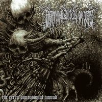 Lightning Swords of Death - The Extra Dimensional Wound