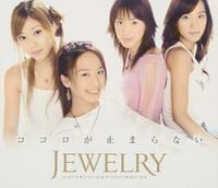 Jewelry - ココロが止まらない