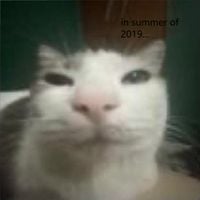 in summer of 2019 i dreamed of everything i have now and couldnt be more dissapointed - i cut myself with hello kitty scissors in the fourth grade and made my classmates cry and my teacher call social services