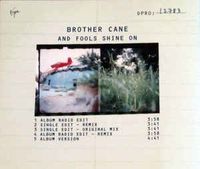 Brother Cane - And Fools Shine On