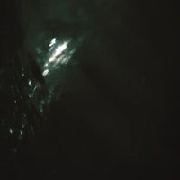 Fashiongore - Dark Wood / Dark Water