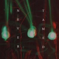 Jackal Twins - Never Tamed