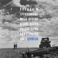Кобыла и Трупоглазые Жабы Искали Цезию, Нашли Поздно Утром Свистящего Хна [Kobyla I Trupoglazye Zhaby Iskali Tsezyu, Nashli Pozdno Utrom Svistyaschego Hna] - Серенгети