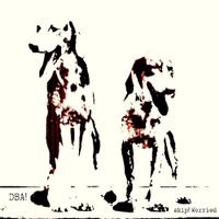 DBA! - skip! worried