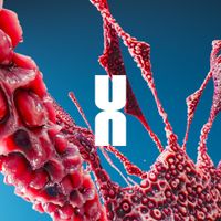 MAURER - Revival EP