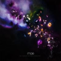 mae - Multisensory Aesthetic Experience
