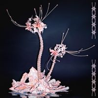 권소정 [Kwon so jeong] - BORN