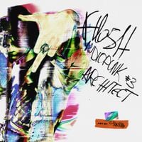 FLESH - AUDIOPUNK 3: ARCHITECTOR