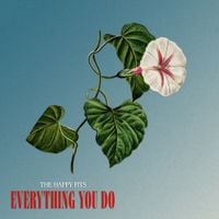 The Happy Fits - Everything You Do
