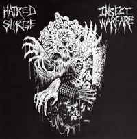 Hatred Surge - Hatred Surge / Insect Warfare