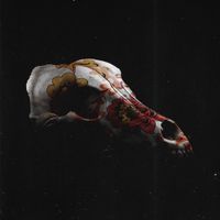 Loqiemean - Зверь без нации