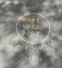 CID-TREKKER - WASHINGTON SQUARE PARK
