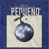 MESS - Pr&iacute;ncipe N&atilde;o T&atilde;o Pequeno*