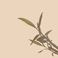 김반월키 [Kimbanourke] - Your Embraces Were Warm