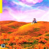 Rexx Life Raj - California Poppy