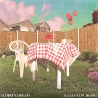 Flopsy's Dream - Pleasant Pudding