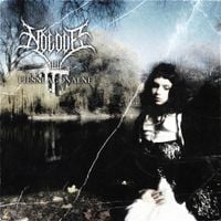 Nolove - Pieśni agonalne