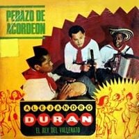 Alejandro Dur&aacute;n - Pedazo de Acorde&oacute;n