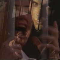 Torn Hawk - Watching Heat On Mute