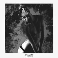 Evil Needle - Qualia
