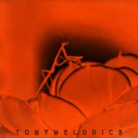 TONYMELODICS - Bullfrog Wrangler