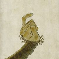 Yaelokre - Cole's Response