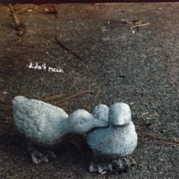 Mei Semones - didn't mean