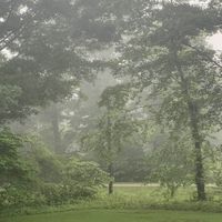 Inyure - last year