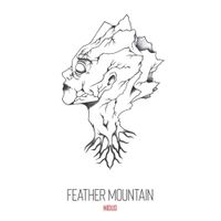 Feather Mountain - Nidus