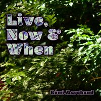 R&eacute;mi Marchand - Live Now & When
