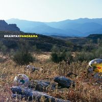 Braintax - Panorama