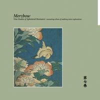 Merzbow - Nine Studies of Ephemeral Resonance Volume 7