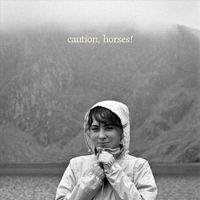 Martha O'Brien - Caution, Horses!
