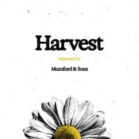 Mumford & Sons - Harvest