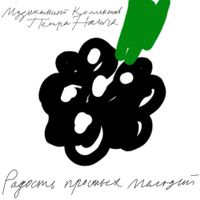 Peter Nalitch - Радость простых мелодий